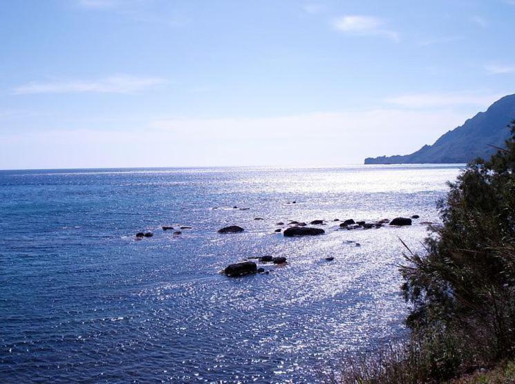 Skinos Apartments Plakias Bagian luar foto