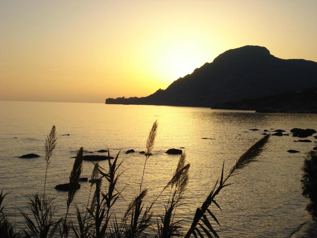 Skinos Apartments Plakias Bagian luar foto