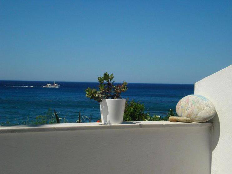 Skinos Apartments Plakias Bagian luar foto